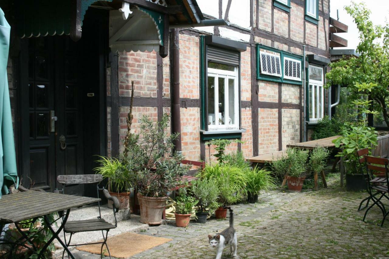 Apartments Cafe Brennnessel Veltheim Exteriér fotografie